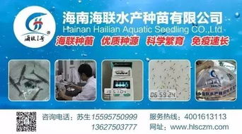 行情高漲激發(fā)養(yǎng)戶熱情，淡水魚功能料時代 超越噱頭的技術(shù)深耕與價值回歸